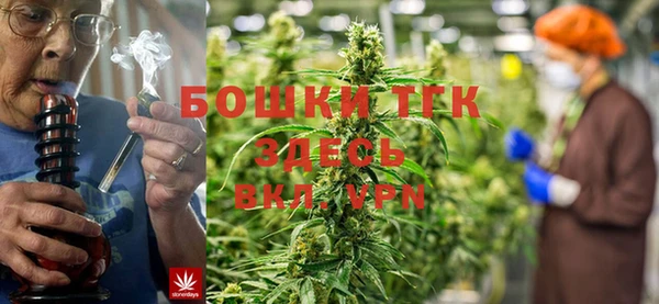 PSILOCYBIN Краснослободск