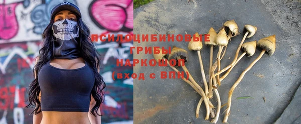 PSILOCYBIN Краснослободск