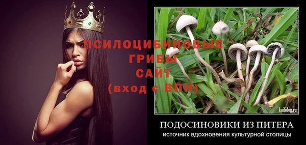 дживик Краснотурьинск