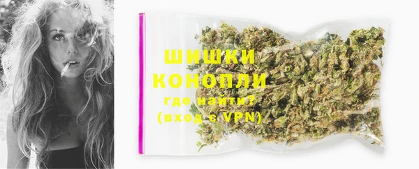 PSILOCYBIN Краснослободск