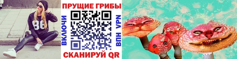 Псилоцибиновые грибы Cubensis  Купить где  Горячий Ключ 